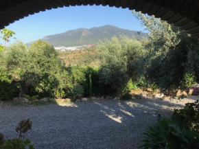 Garden Apartment, Fruitful Hills Estate